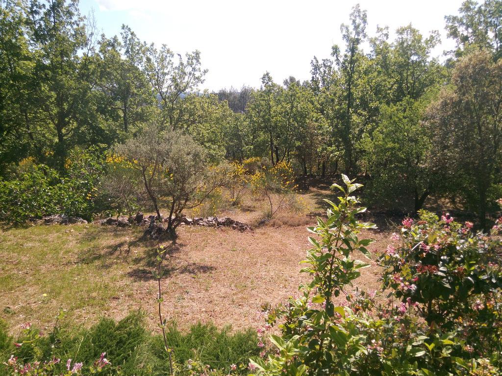 Gite Les Oliviers Cotignac Esterno foto